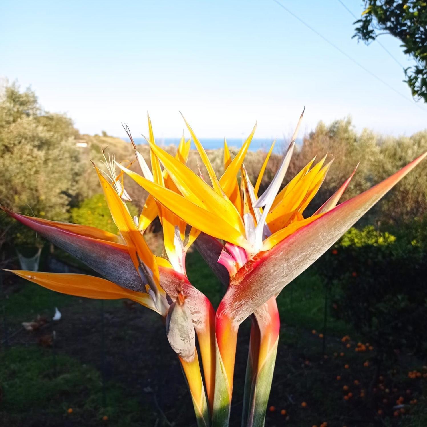 Ai Tre Desideri La Casita Villa Aci Castello Luaran gambar