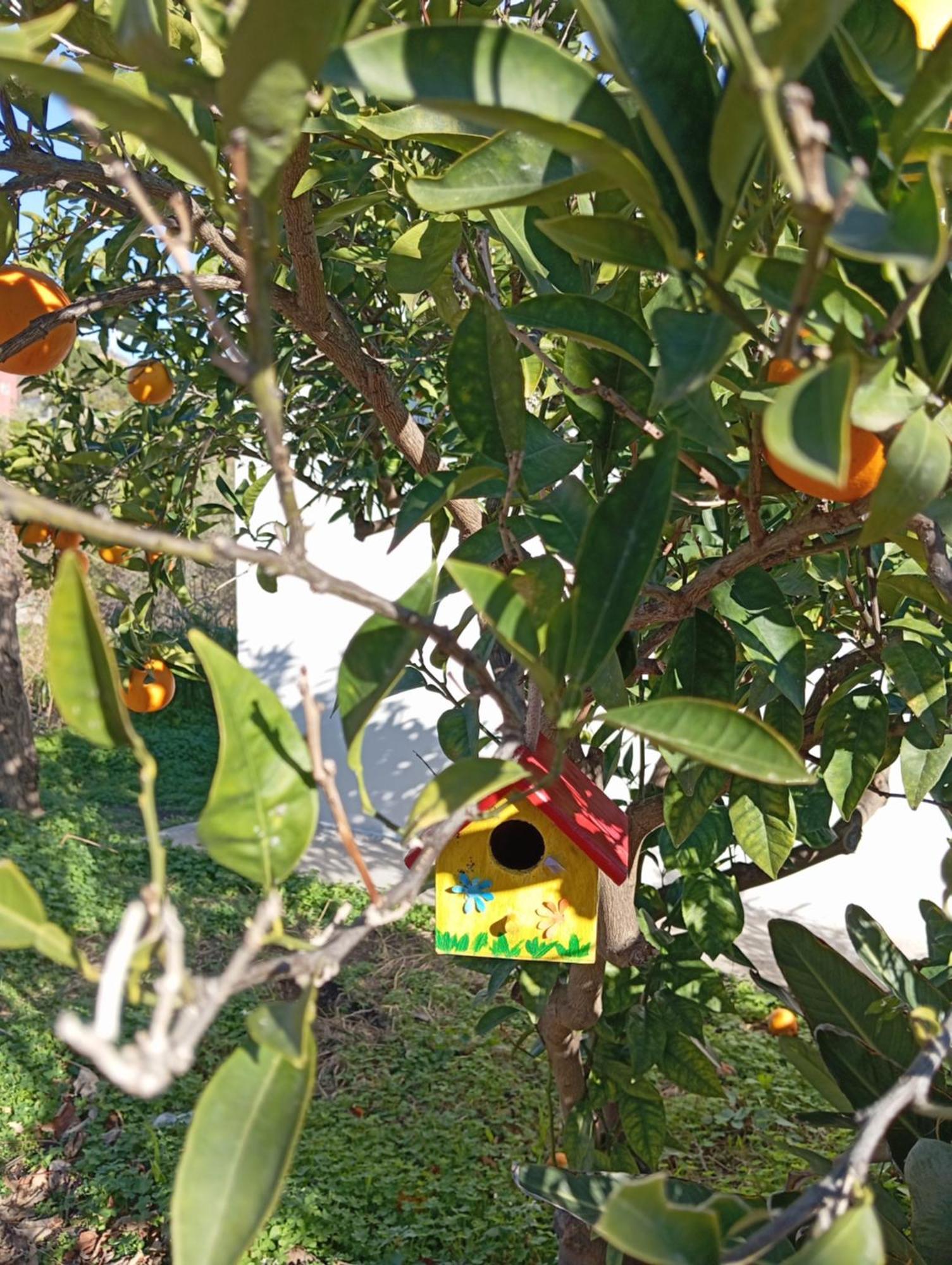 Ai Tre Desideri La Casita Villa Aci Castello Luaran gambar