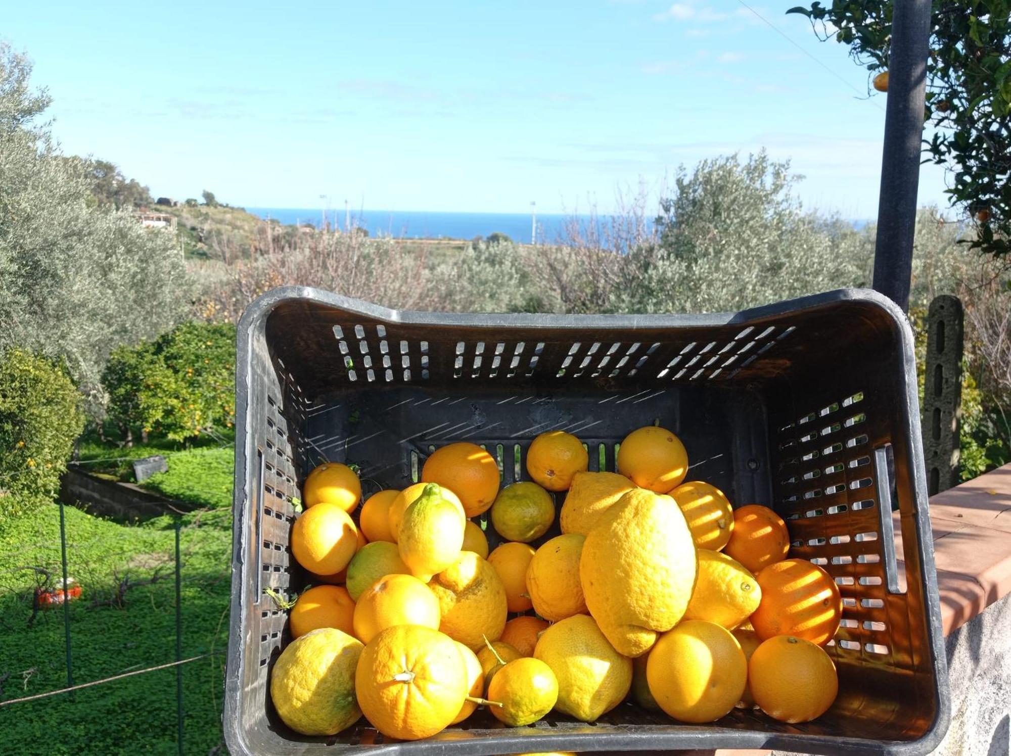 Ai Tre Desideri La Casita Villa Aci Castello Luaran gambar
